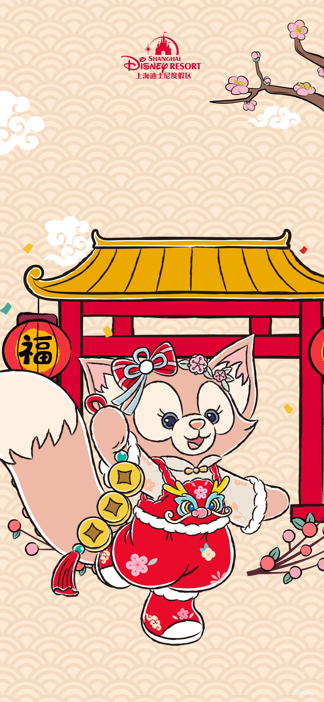 専用ページ