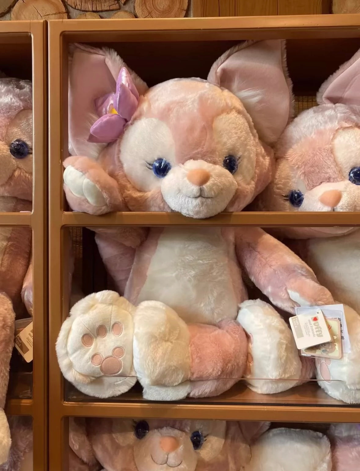 Qちゃん 専用ページ