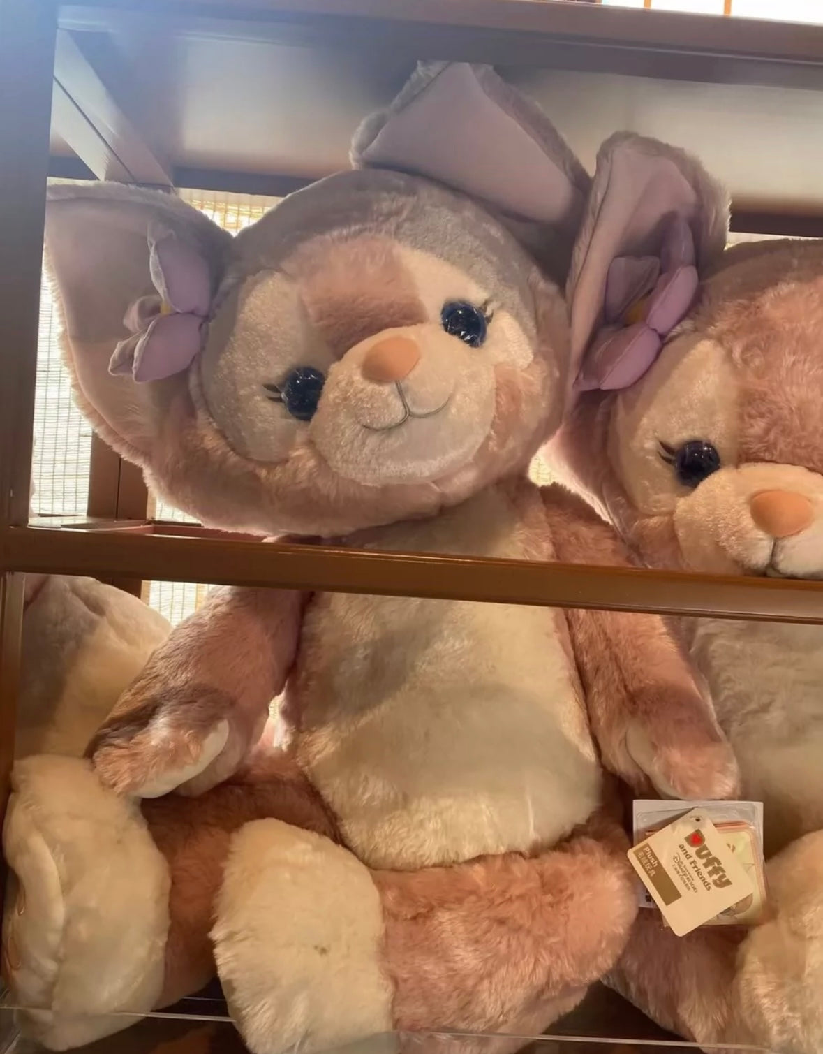 Qちゃん 専用ページ